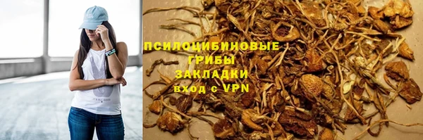 хмурый Богородицк