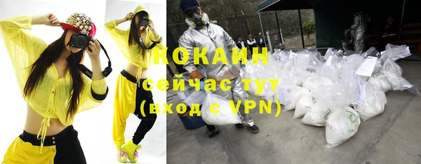 гашик Белокуриха