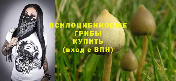 хмурый Богородицк