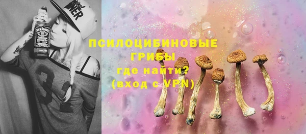 спиды Богданович